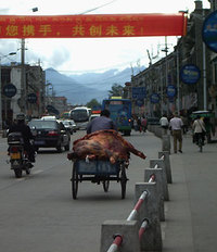 Tibetbike1