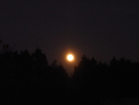 Moon2009